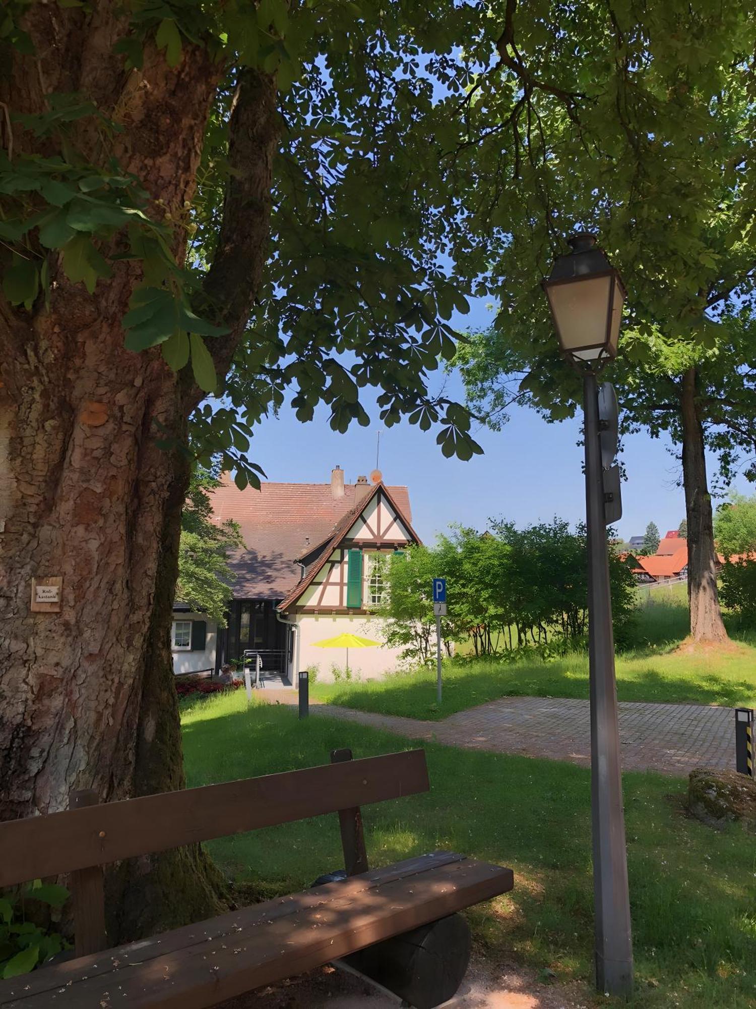 Ferienwohnung Am Keschtebaum, 70Qm Sasbachwalden Extérieur photo